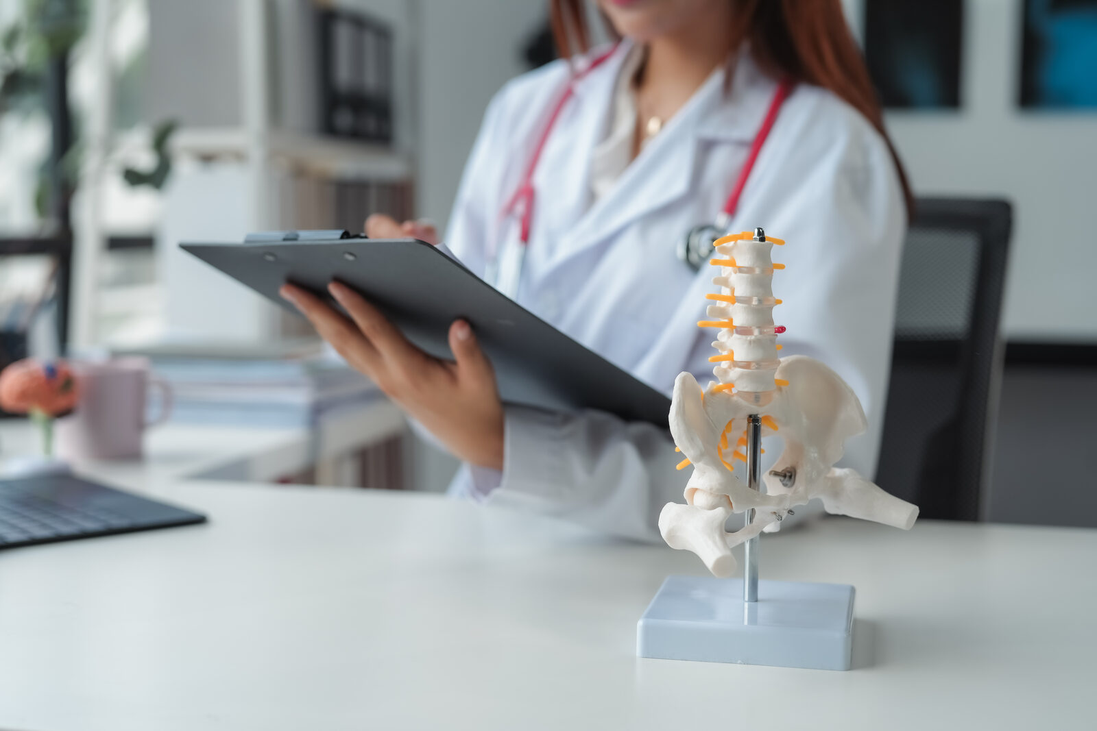 Chiropractor using a spinal anatomy model to explain treatment to a patient
